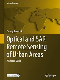 optical and sar image