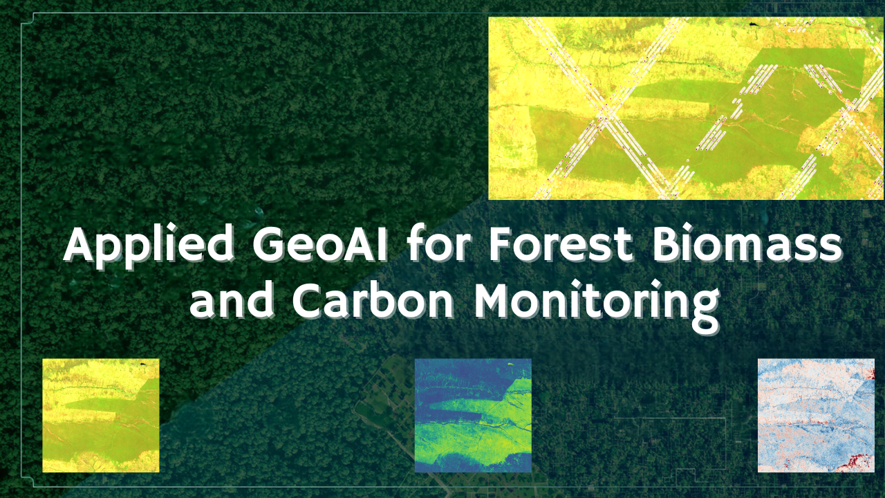 Applied GeoAI for Forest Biomass and Carbon Monitoring